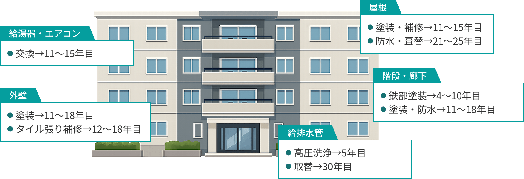 給湯器・エアコン:交換→11～15年目 外壁:塗装→11～18年目/タイル張り補修→12～18年目 屋根:塗装・補修→11～15年目/防水・葺替→21～25年目 階段・廊下:鉄部塗装→4～10年目/塗装・防水→11～18年目 給排水管:高圧洗浄→5年目/取替→30年目