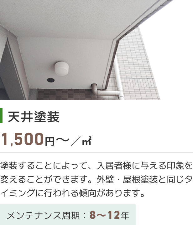 天井塗装